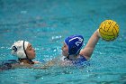 WWPolo vs CC  Wheaton College Women’s Water Polo compete in their sports inaugural match vs Connecticut College. - Photo By: KEITH NORDSTROM : Wheaton, water polo, inaugural